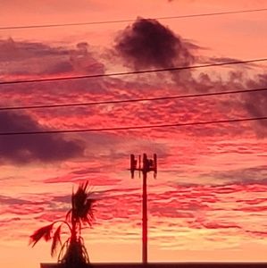 Meet your Posher, Joy